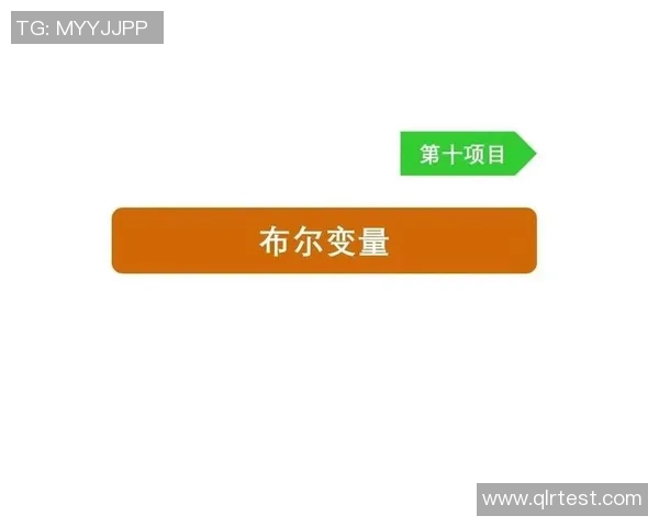 深入探讨vs数据库中的布尔类型及其应用场景与性能优化策略